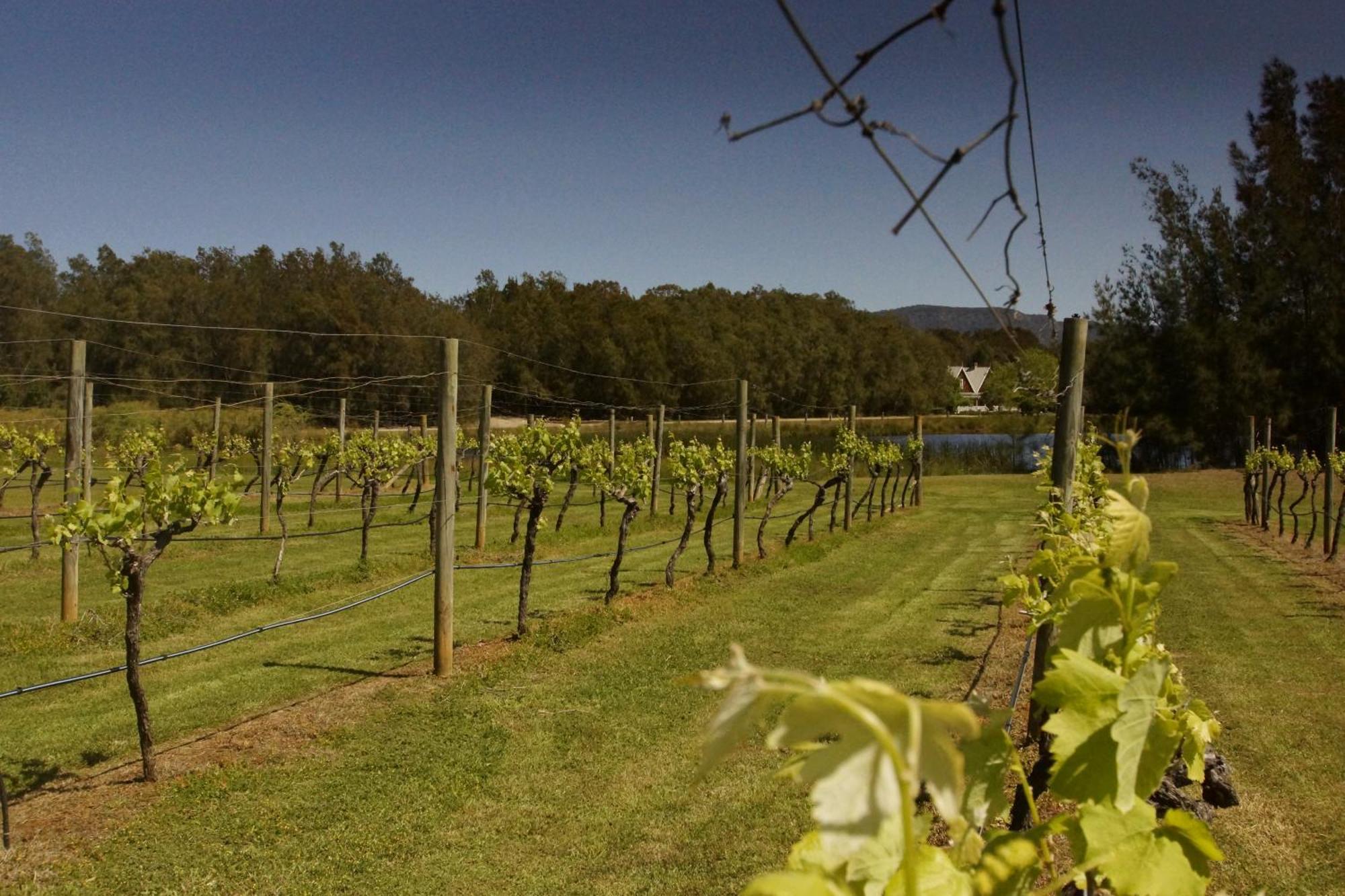 The Carriages Boutique Hotel And Vineyard 포콜빈 외부 사진